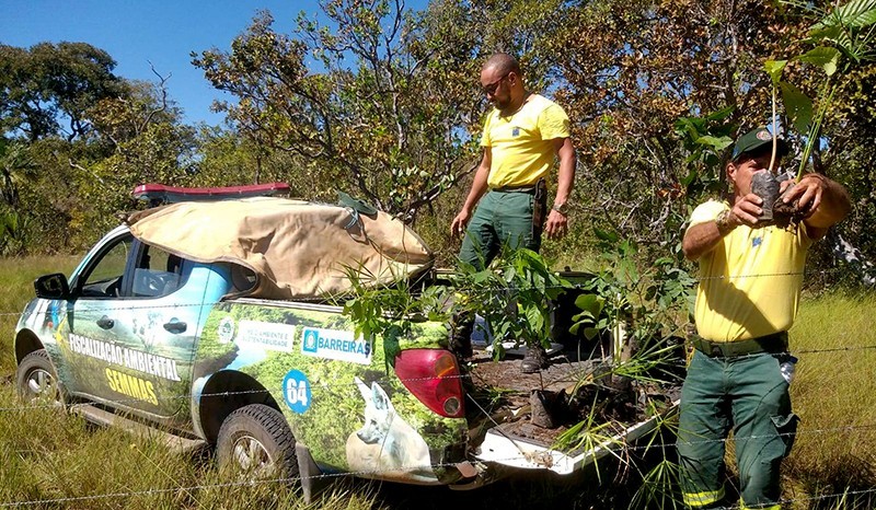 Barreiras Meio Ambiente E Parceiros Realizam Reflorestamento De