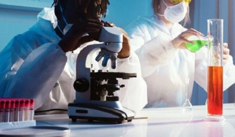Instituto Distribui R 91 Milhões Para Jovens Cientistas Do Brasil 7050