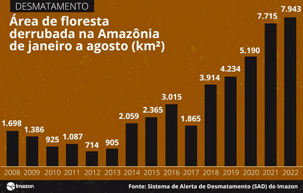 Desmatamento Na Amazônia Chega A Quase 8 Mil Km² Em 2022, Pior ...